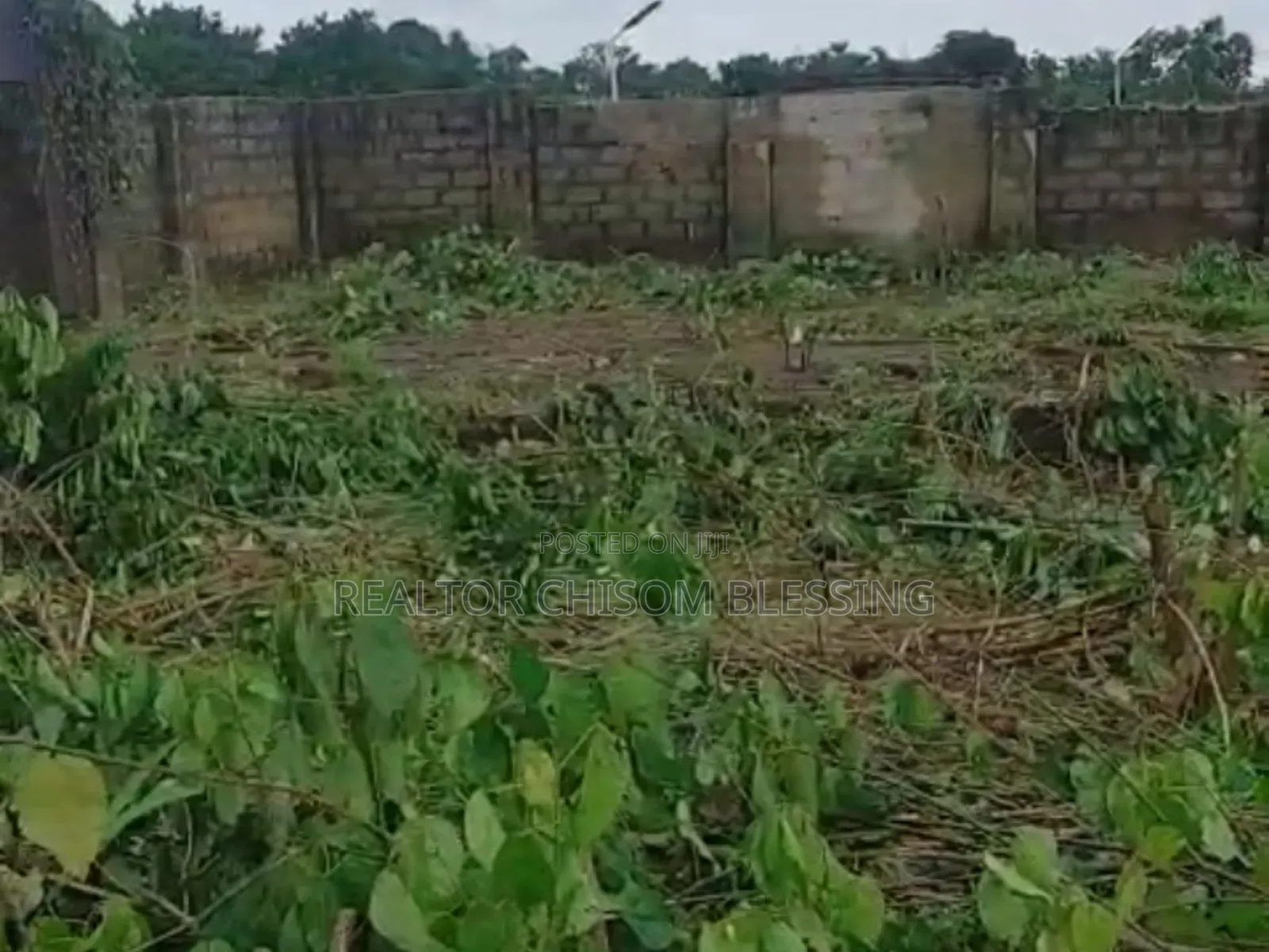 2 Plots for Sale in AHIA EKE, UMUAHIA ABIA STATE in Umuahia