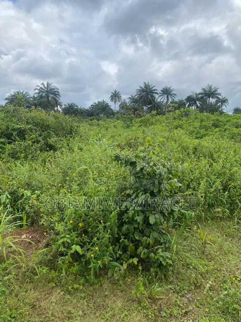 I Plot of Land in Umuahia