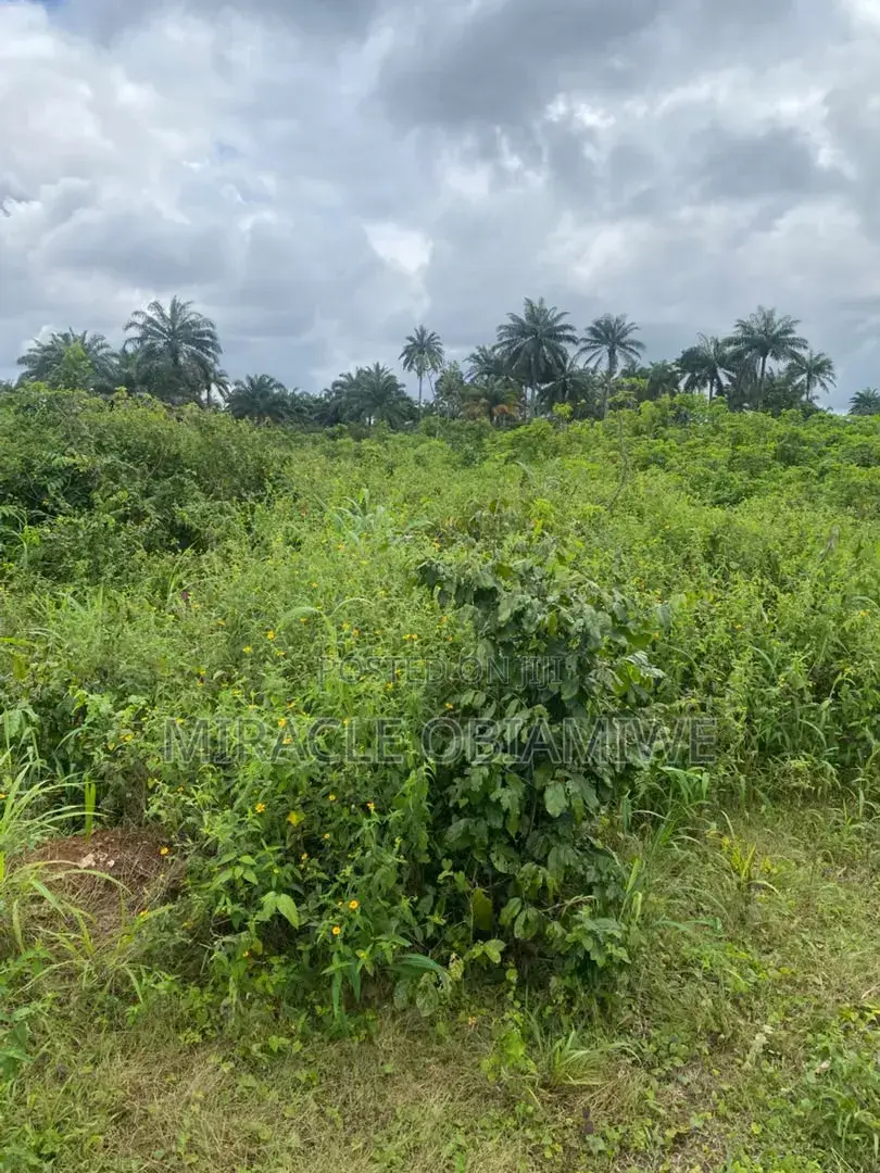 A Plot of Land for Sale Umuahia ABIA STATE in Umuahia