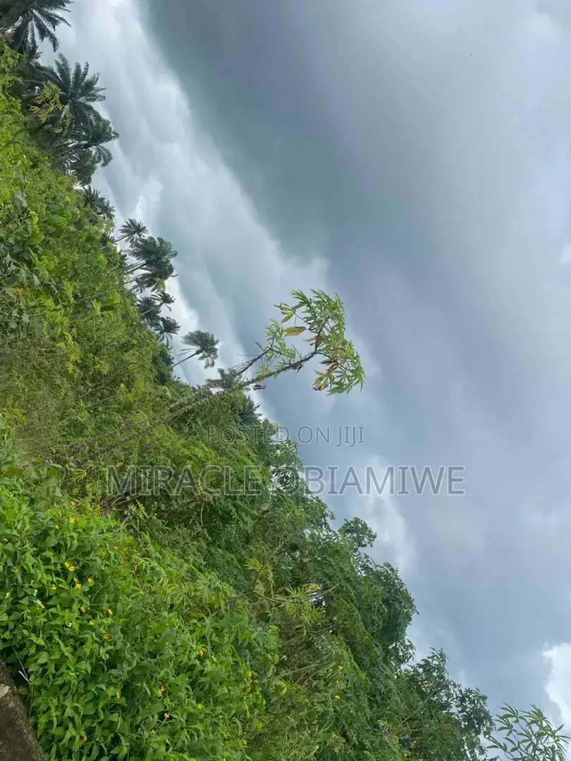 A Plot of Land for Sale Umuahia ABIA STATE in Umuahia