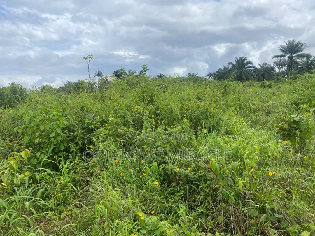 I Plot of Land in Umuahia