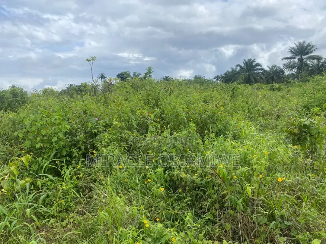 A Plot of Land for Sale Umuahia ABIA STATE in Umuahia