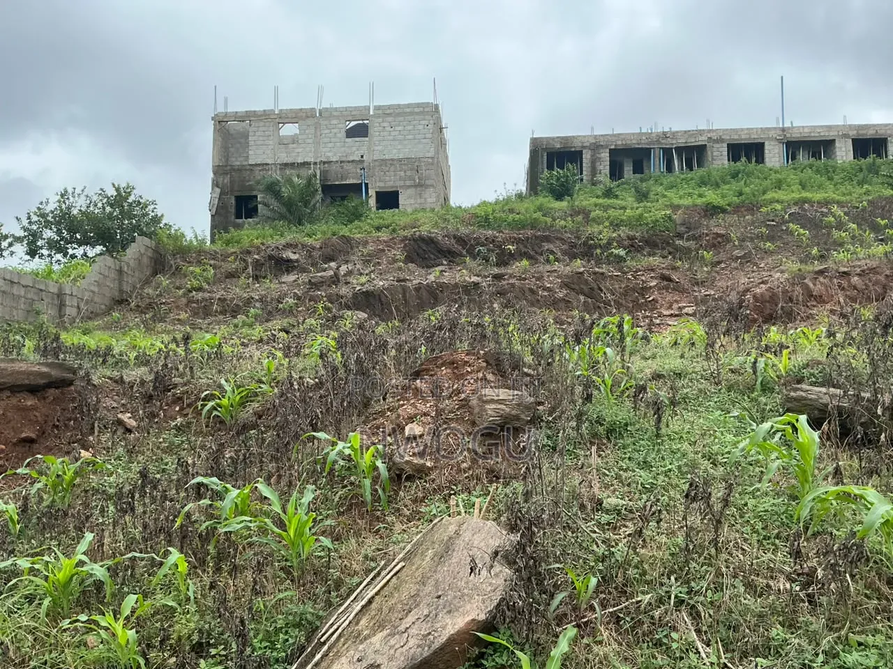 500 SQM Distress Sales Land at Kurudu in Kurudu