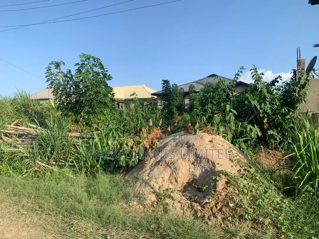For Sale: Half Plot of Land at Oluodo Adegbose. in Ibeshe / Ikorodu