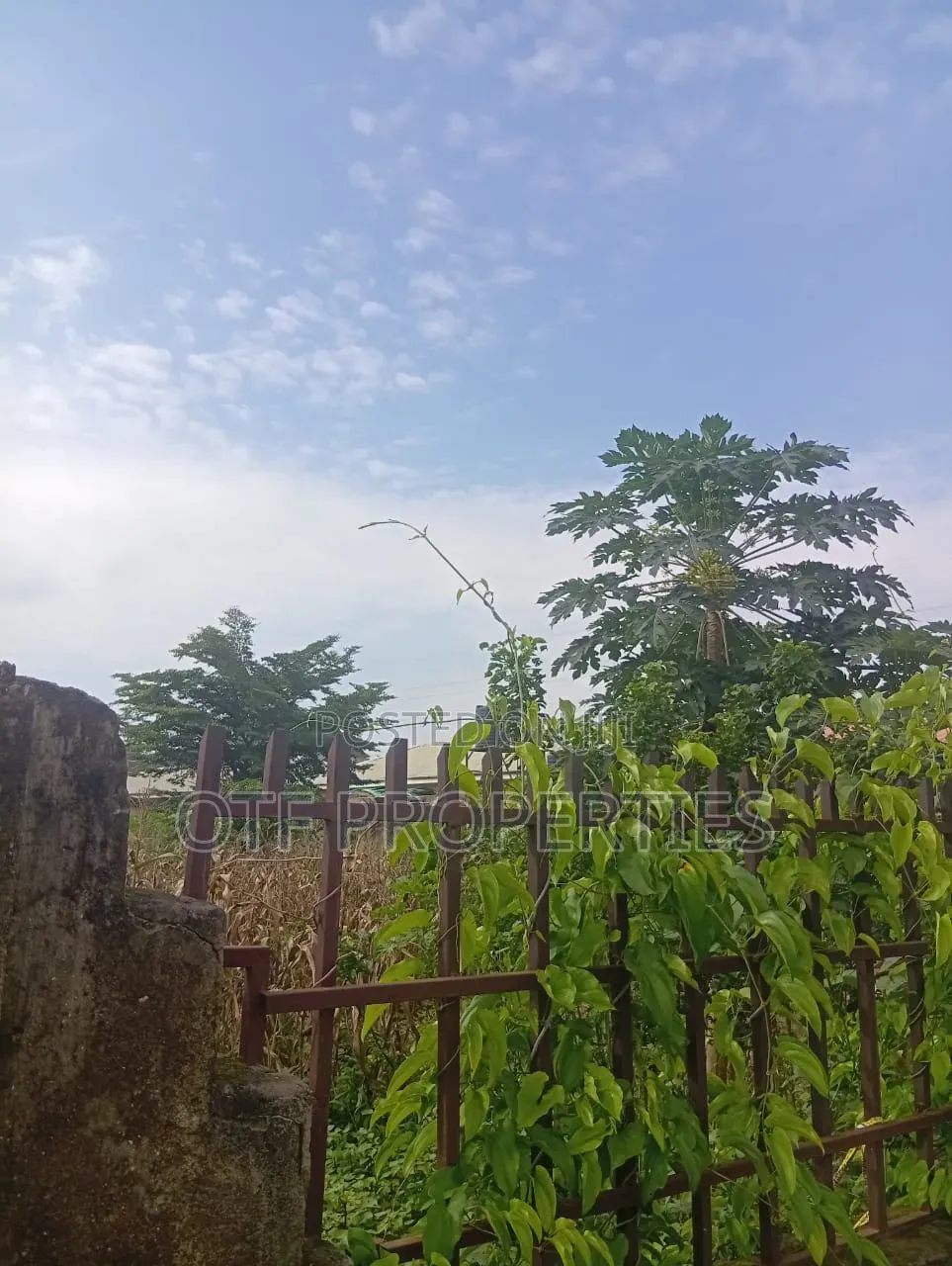 Big Plot of Land in 2/1 Kubwa in Kubwa
