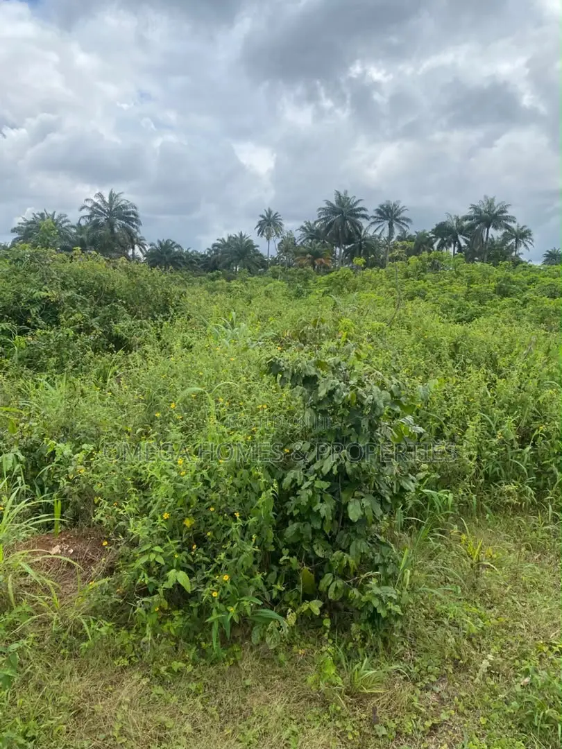 1 Full Plot of Land at Amaoba Estate in Old Umuahia in Umuahia