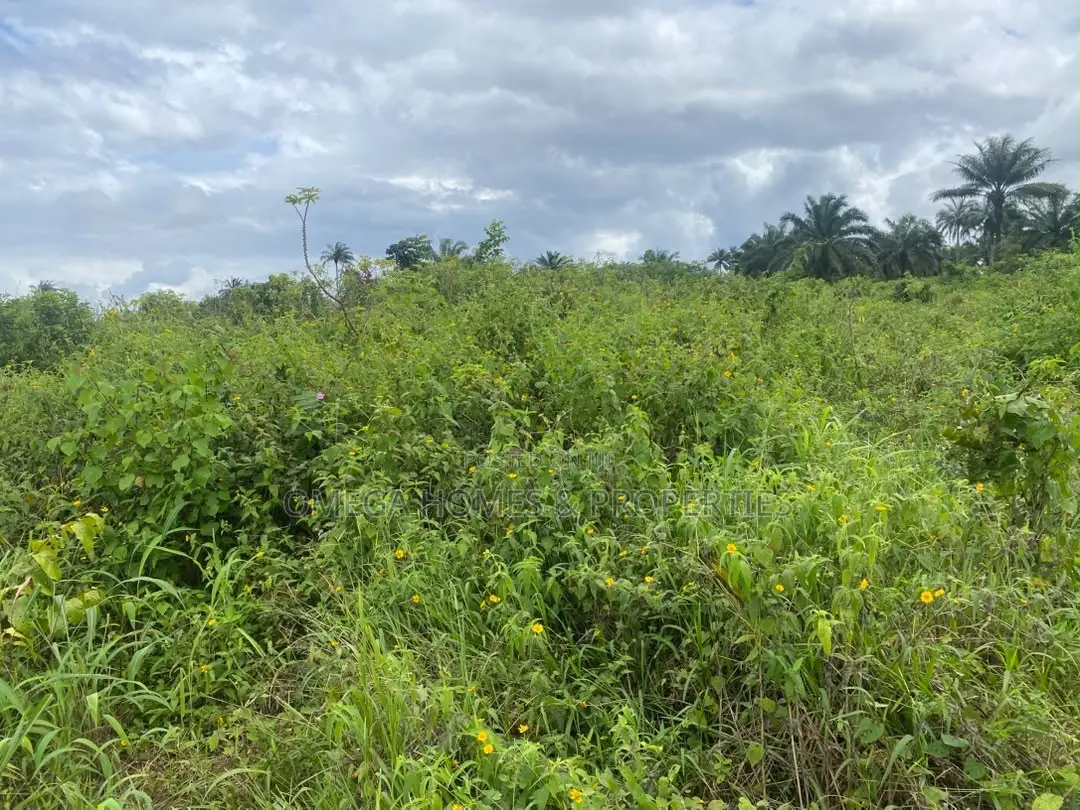 1 Full Plot of Land at Amaoba Estate in Old Umuahia in Umuahia