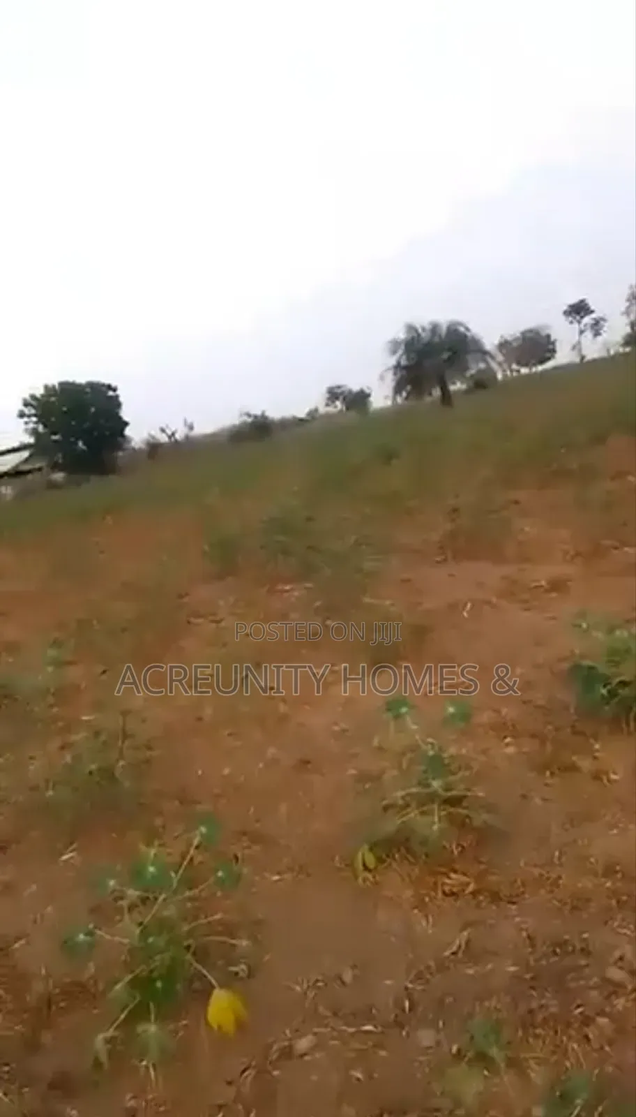 10 Acres of Land for Sale at Idi Iya Off Iseyin-Oyo Road, Iseyin Lga in Iseyin