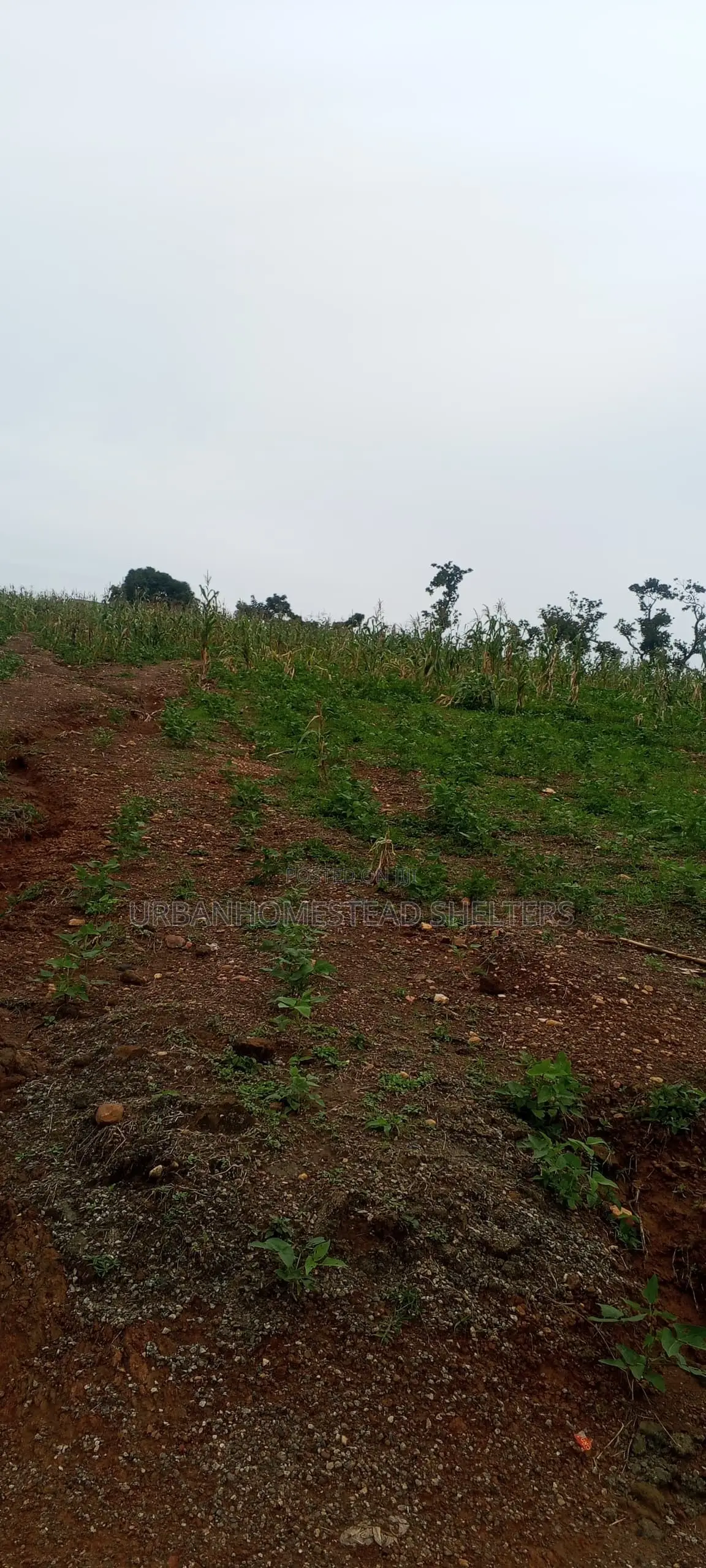 Guzape Phase 2 in Guzape District