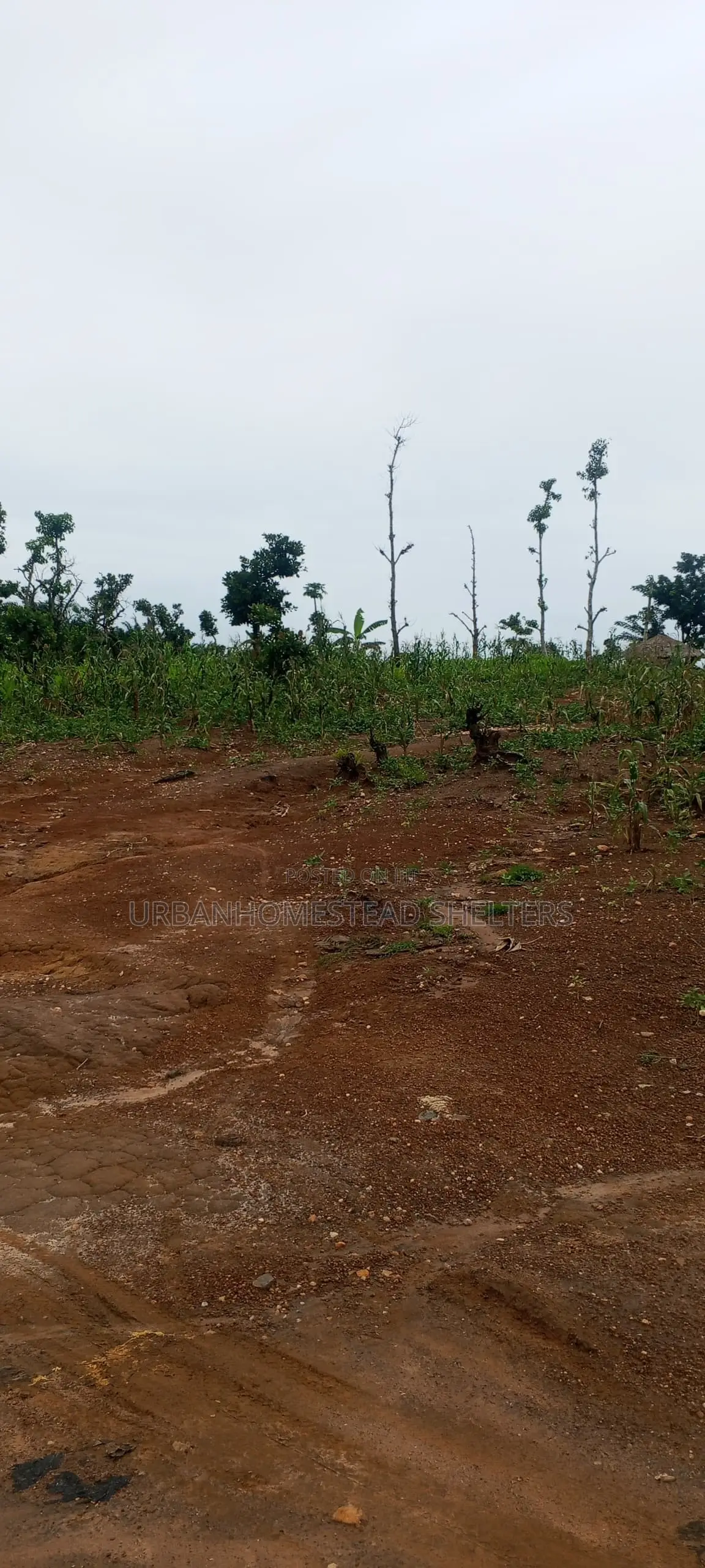 Guzape Phase 2 in Guzape District