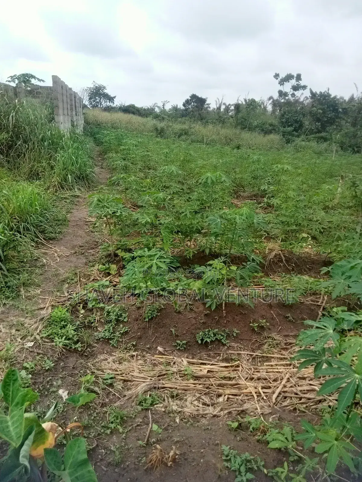 Half Plot for Sale Abiola Arobieye 5m in Ado-Odo/Ota
