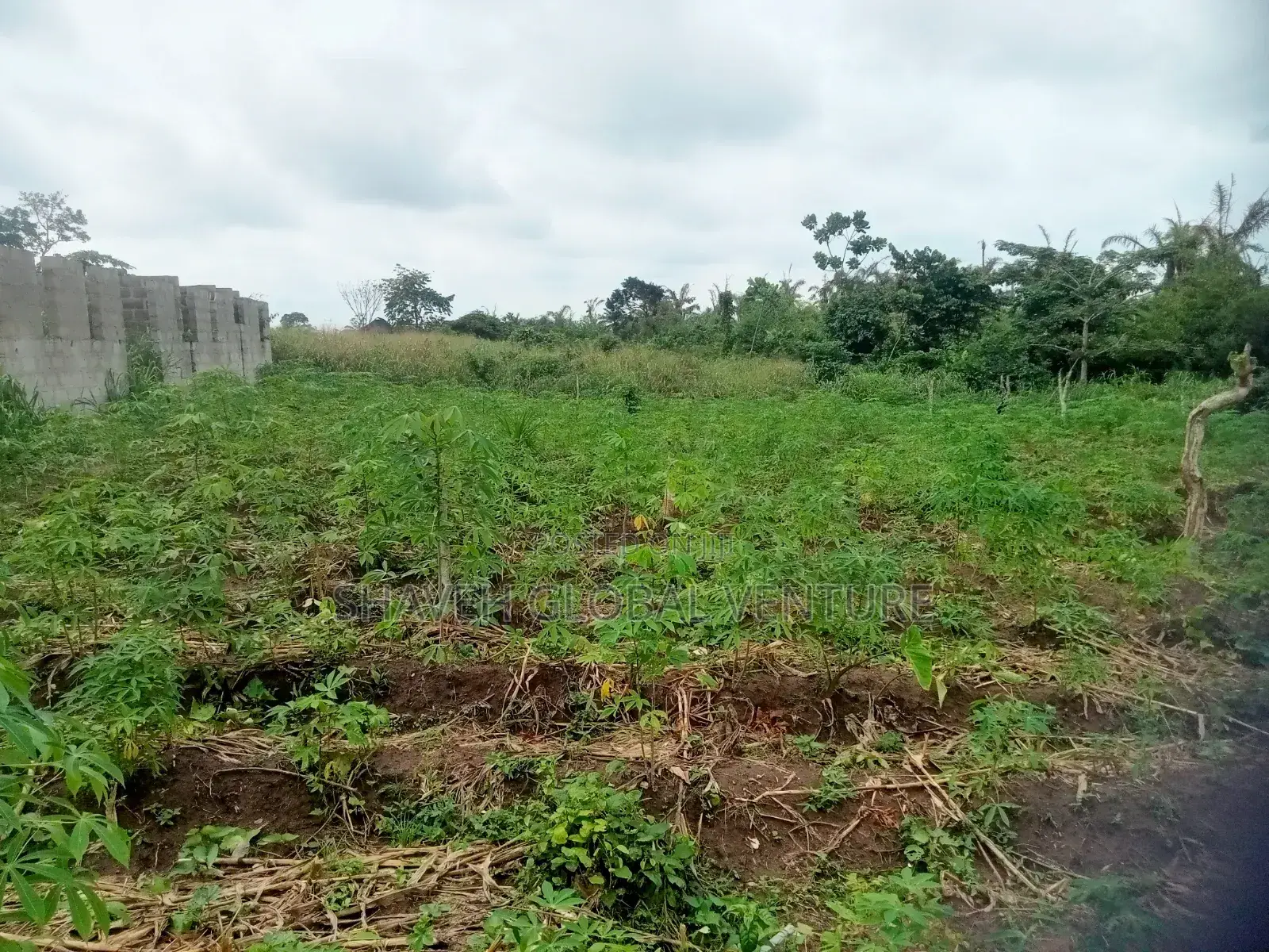 Half Plot for Sale Abiola Arobieye 5m in Ado-Odo/Ota