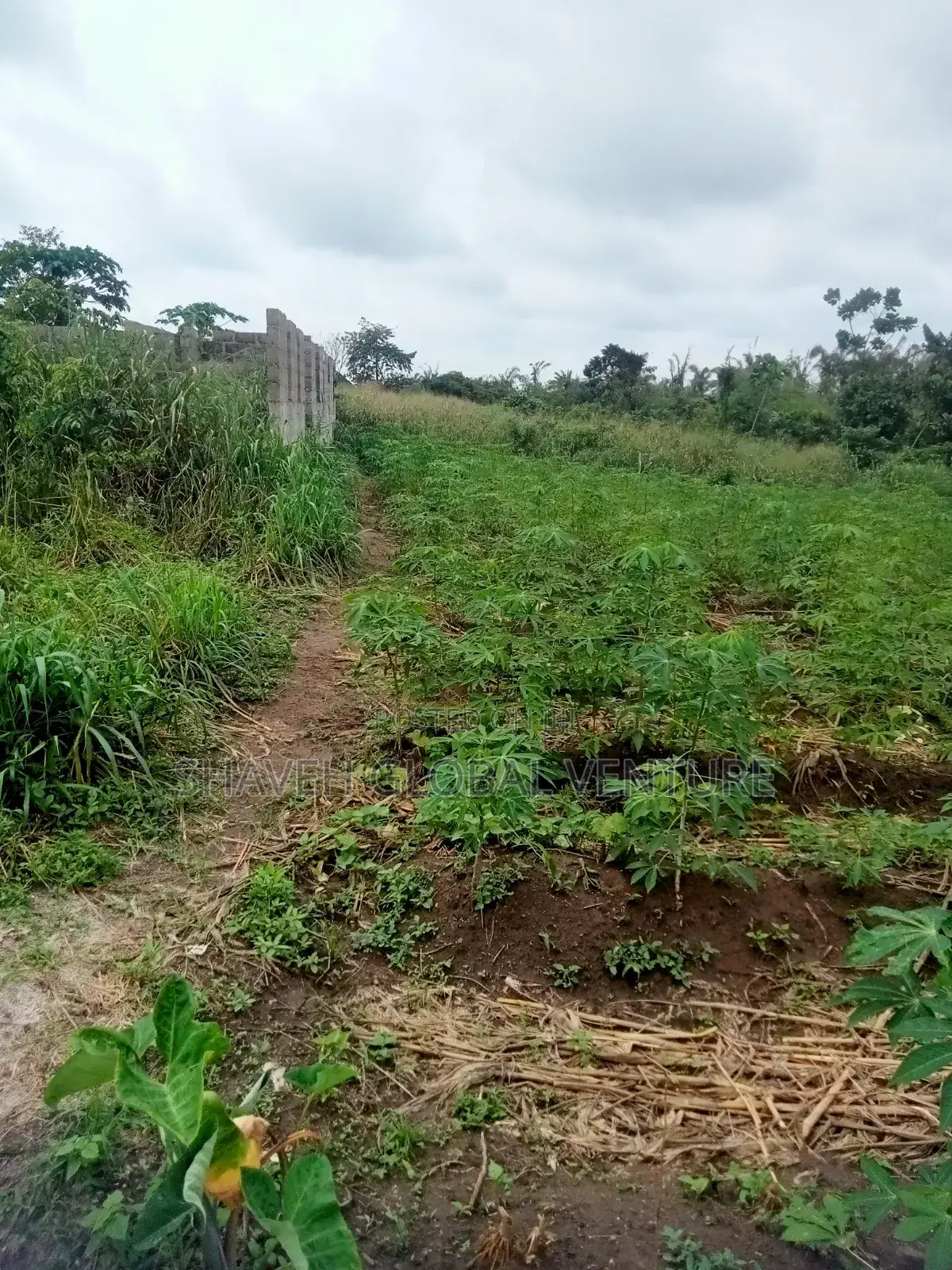 Half Plot for Sale Abiola Arobieye 5m in Ado-Odo/Ota