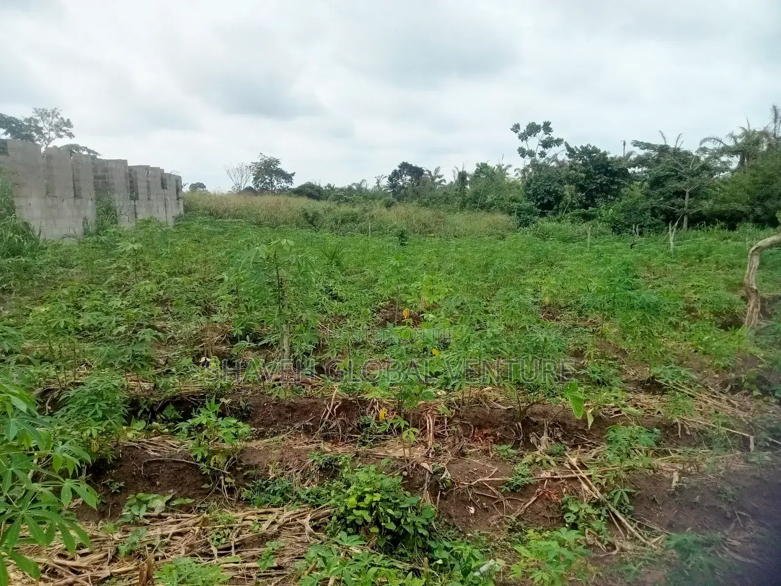 Half Plot for Sale Abiola Arobieye 5m in Ado-Odo/Ota