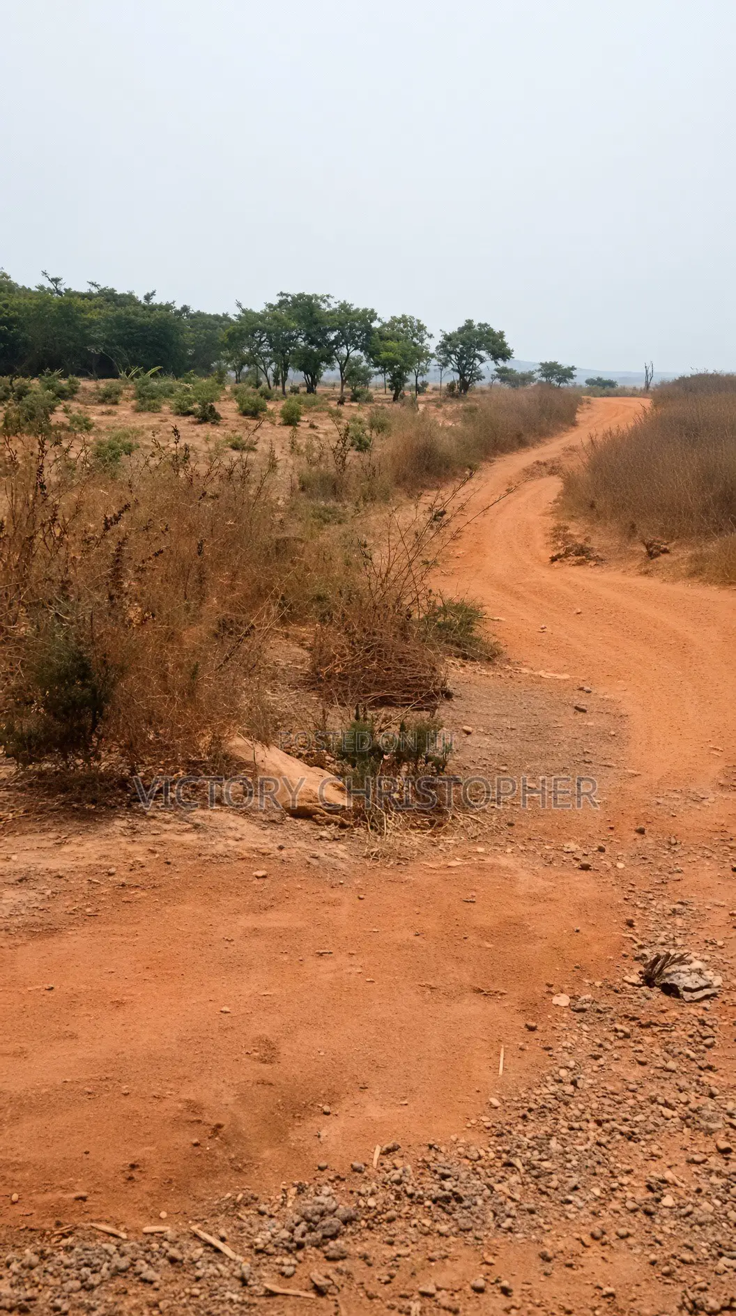 6.81 Hectares Residential Housing Land in Apo District