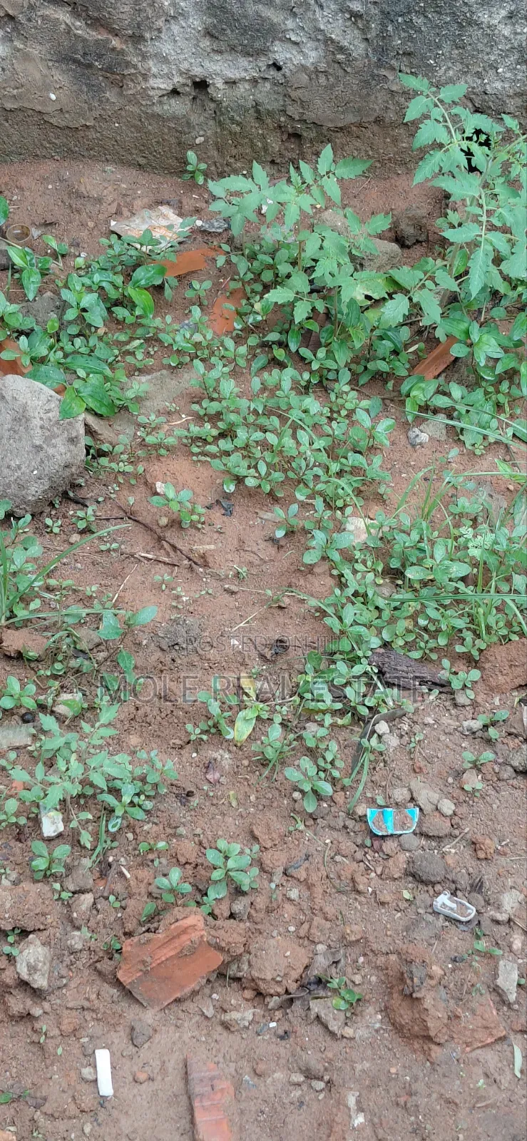 1, 030sqm Joint Venture (JV) Victoria Island in Kofo Abayomi