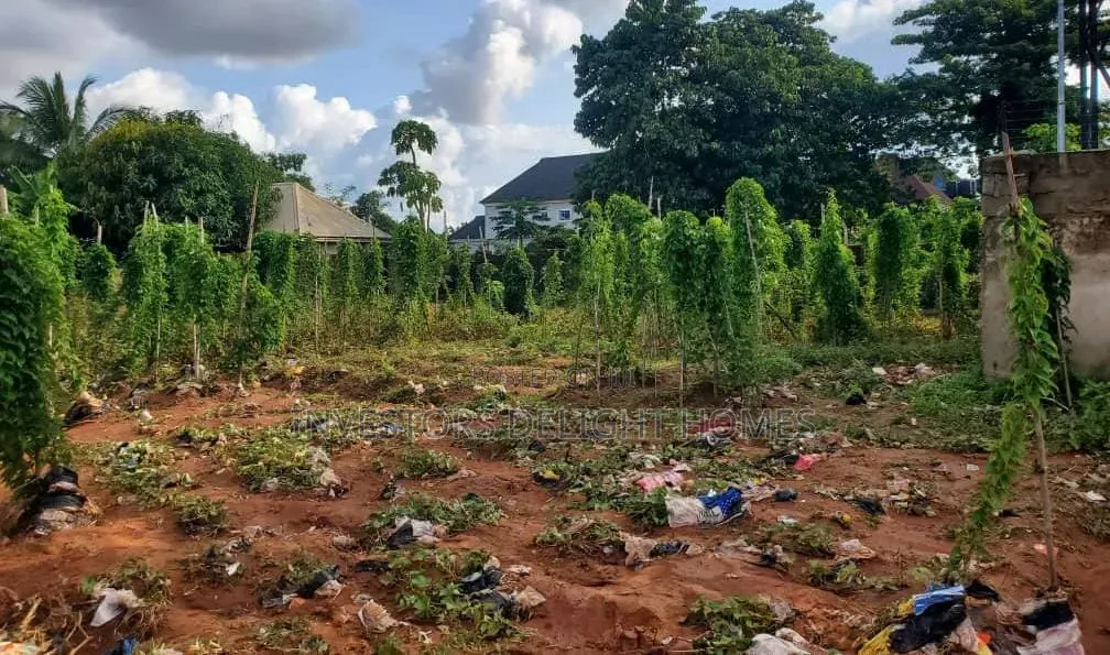 Residential/Commercial Land for Sale in Oshimili South