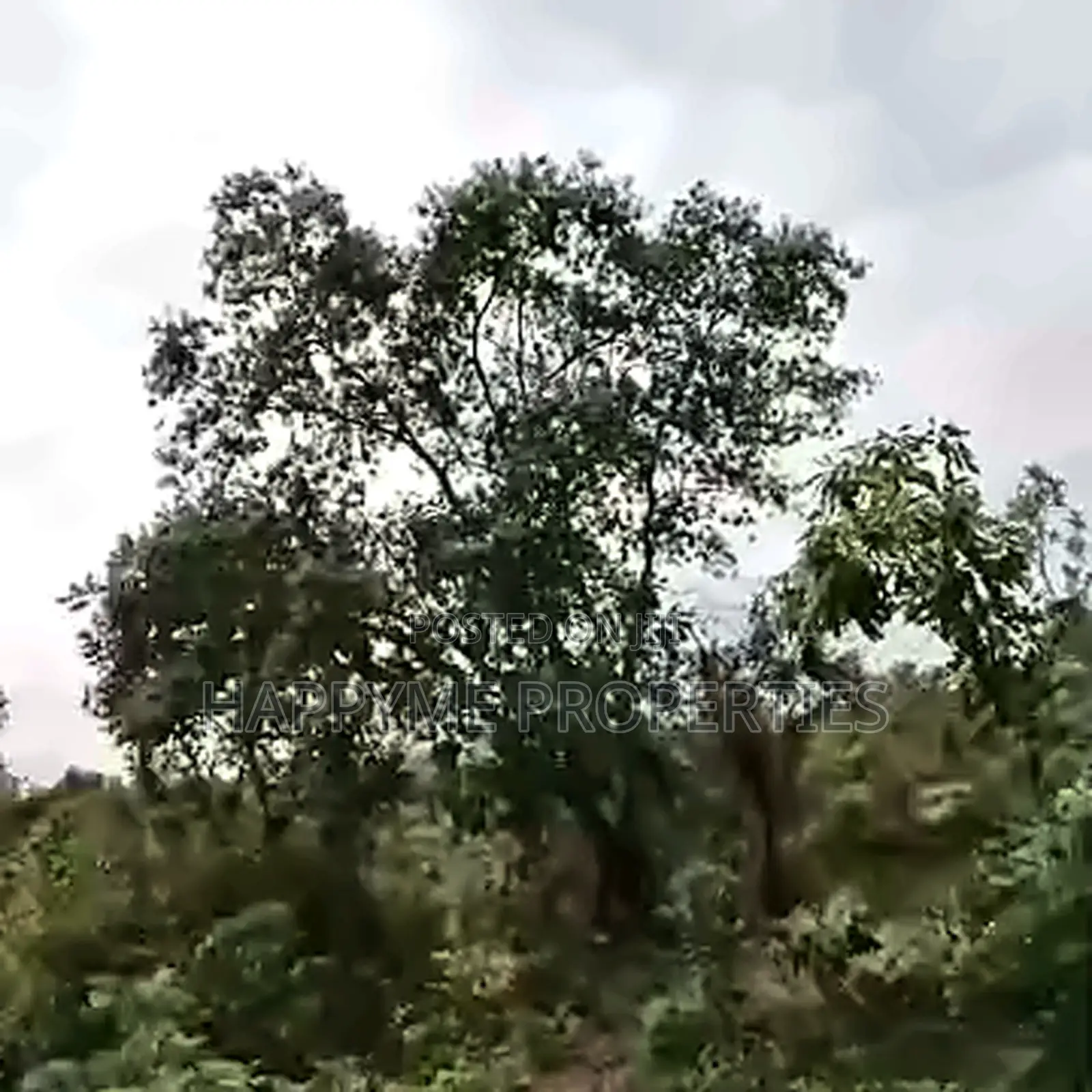 121 Hectares Mixed-Use Land for Sale | Ketti Pyakasa, Abuja in Pyakasa