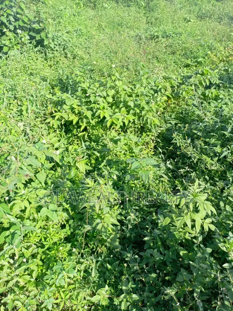 2,632sqm Residential Land at Guzape Main in Guzape District