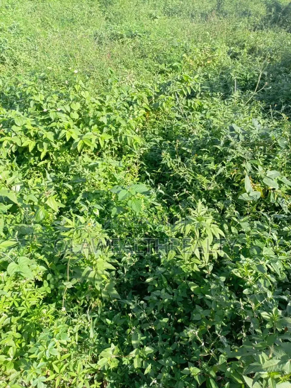 2,632sqm Residential Land at Guzape Main in Guzape District