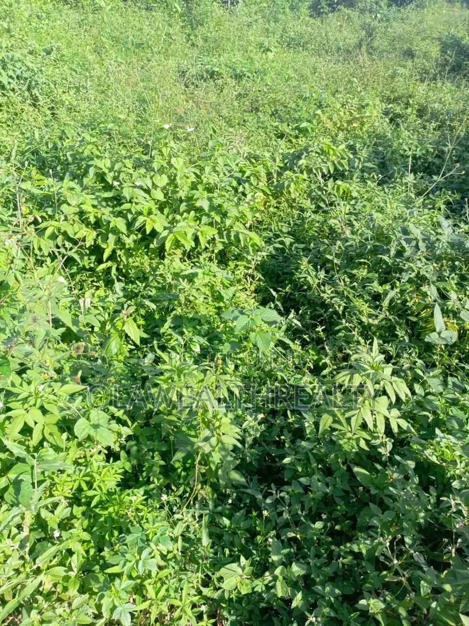 3,475sqm Residential Land at Asokoro in Guzape District