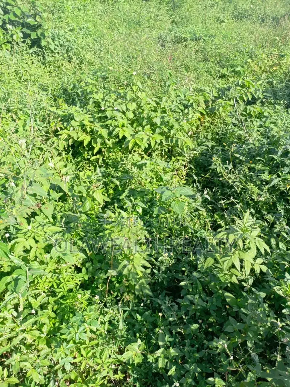 3,475sqm Residential Land at Asokoro in Guzape District