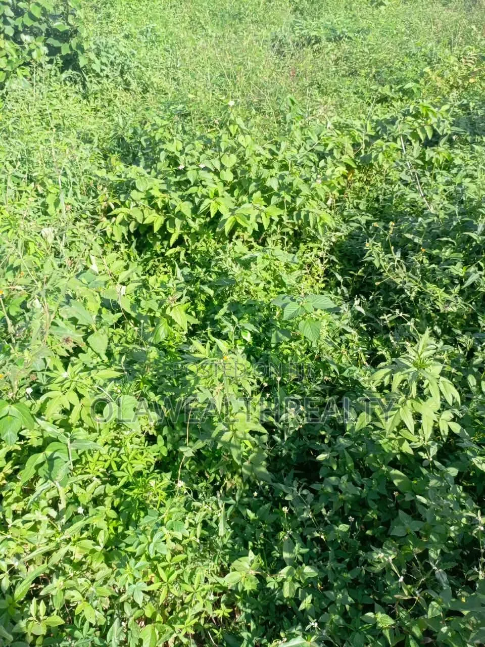 9,010sqm Commercial Land at Idu in Idu