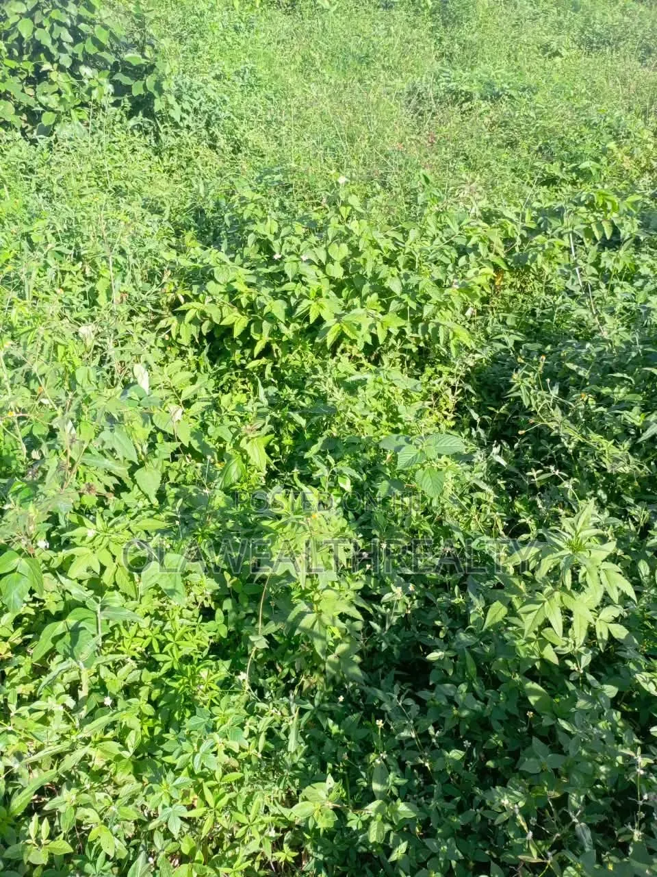 1 Hectare Mixed-Use Land at Kubwa in Kubwa