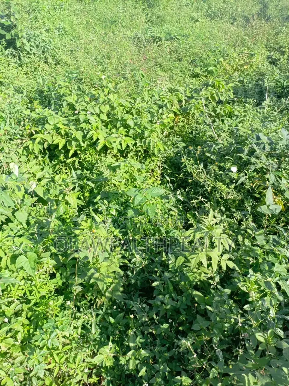 1 Hectare Mixed-Use Land at Kubwa in Kubwa