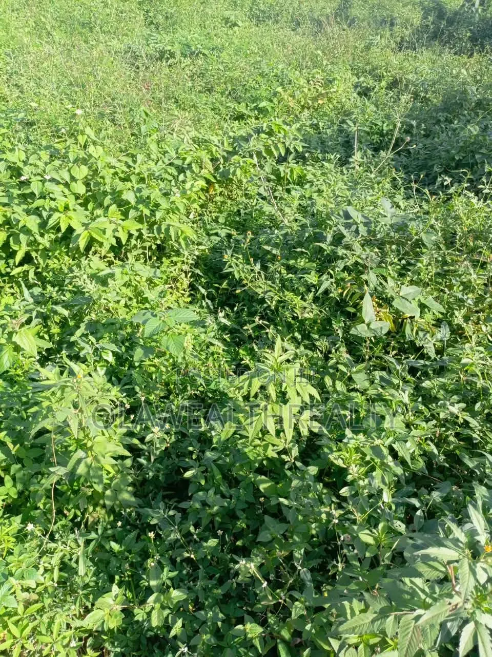1,000sqm Residential Land at NafValley Estate, Asokoro in Asokoro