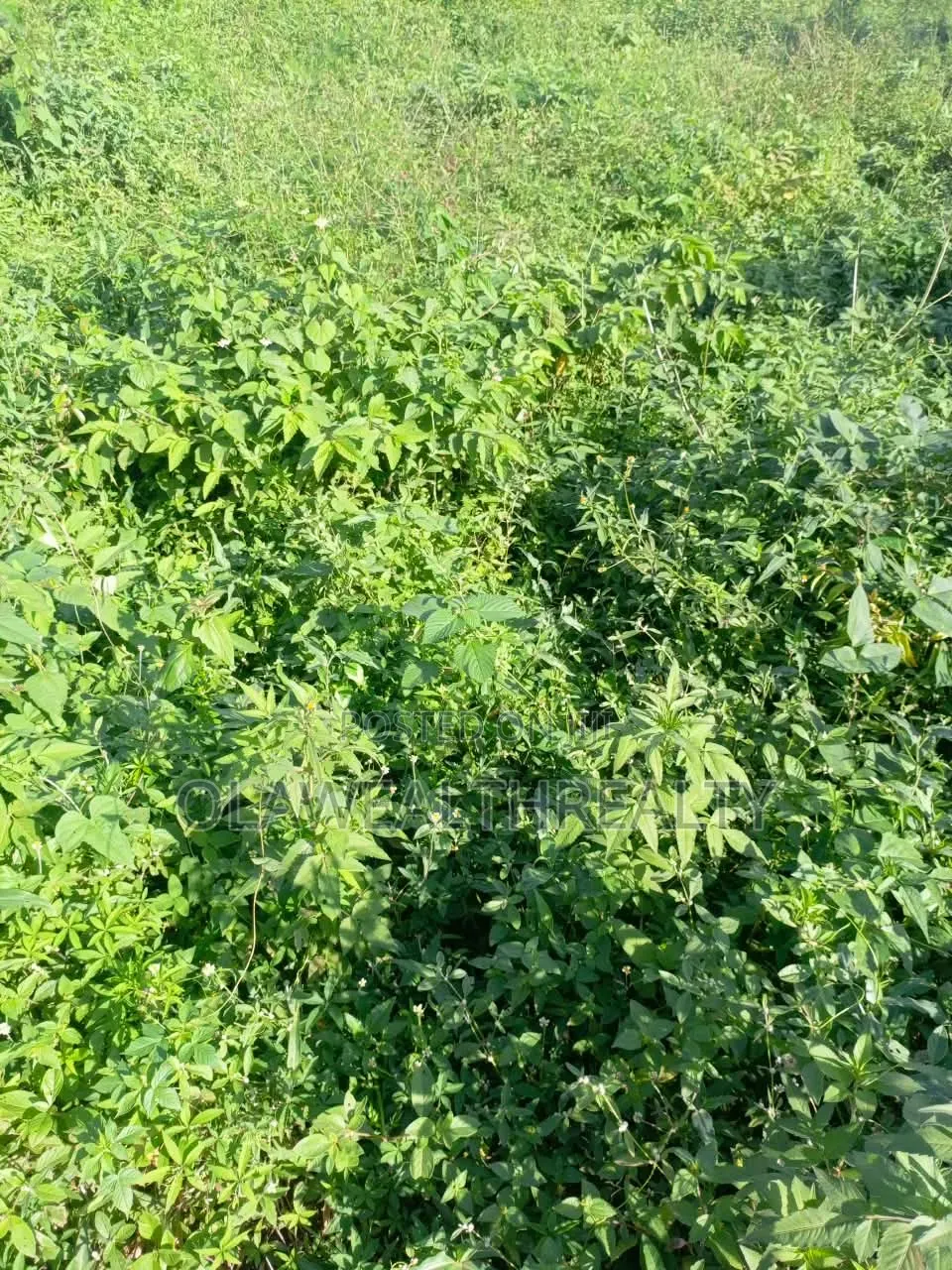1,000sqm Residential Land at NafValley Estate, Asokoro in Asokoro