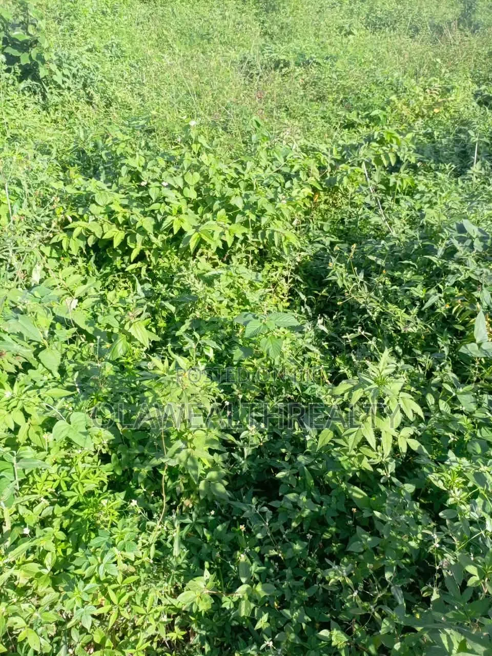2,400sqm Residential Land at Utako in Utako