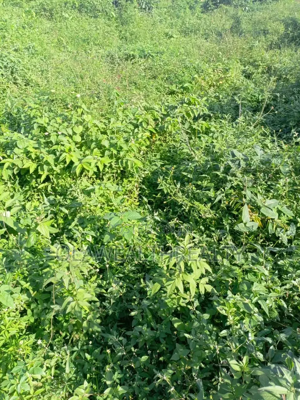 2,400sqm Residential Land at Utako in Utako