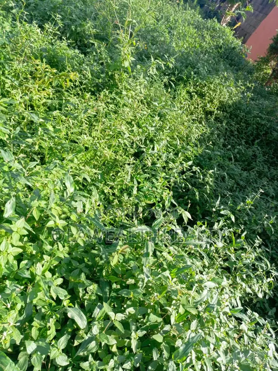 7,700sqm Hotel Land at Mabushi in Mabushi