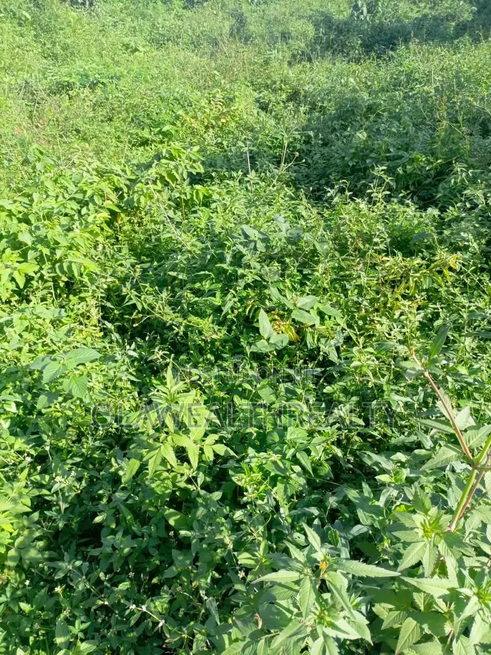 7,700sqm Hotel Land at Mabushi in Mabushi