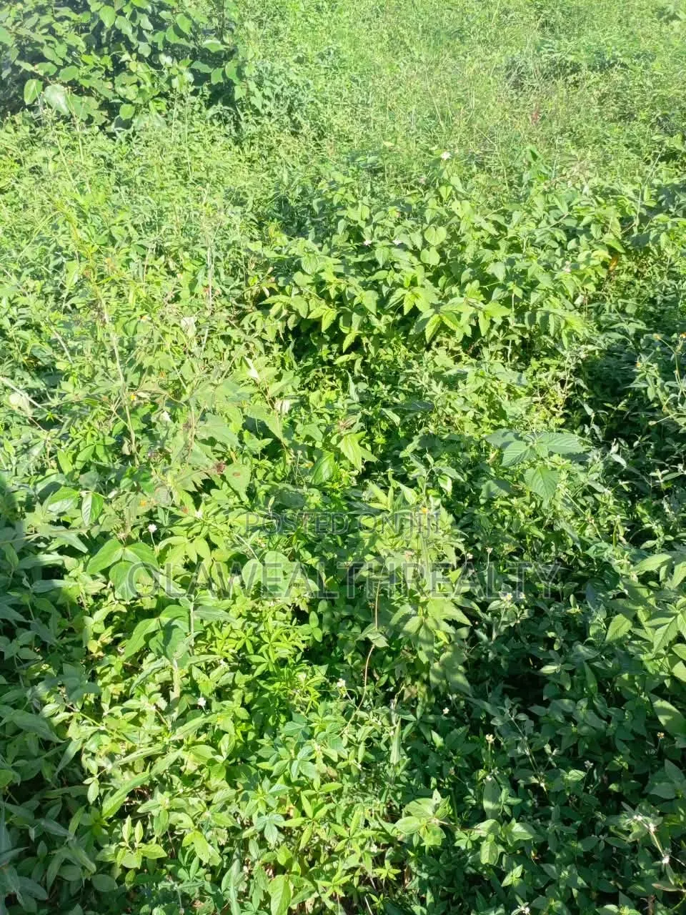 1,800sqm Residential Land at Kaura in Kaura