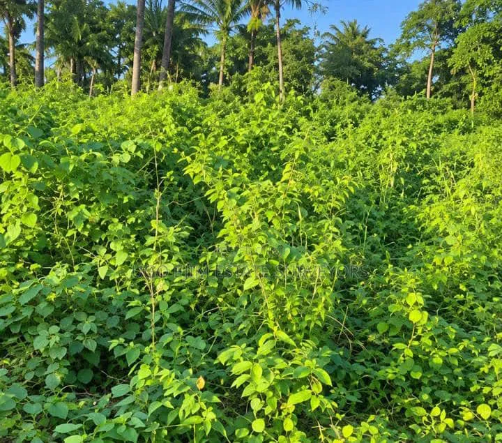 3 Plots of Empty Land in Port-Harcourt