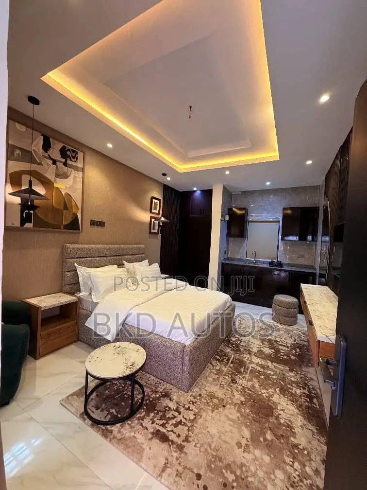 Cozy Studio Apartment in Omole Phase 2