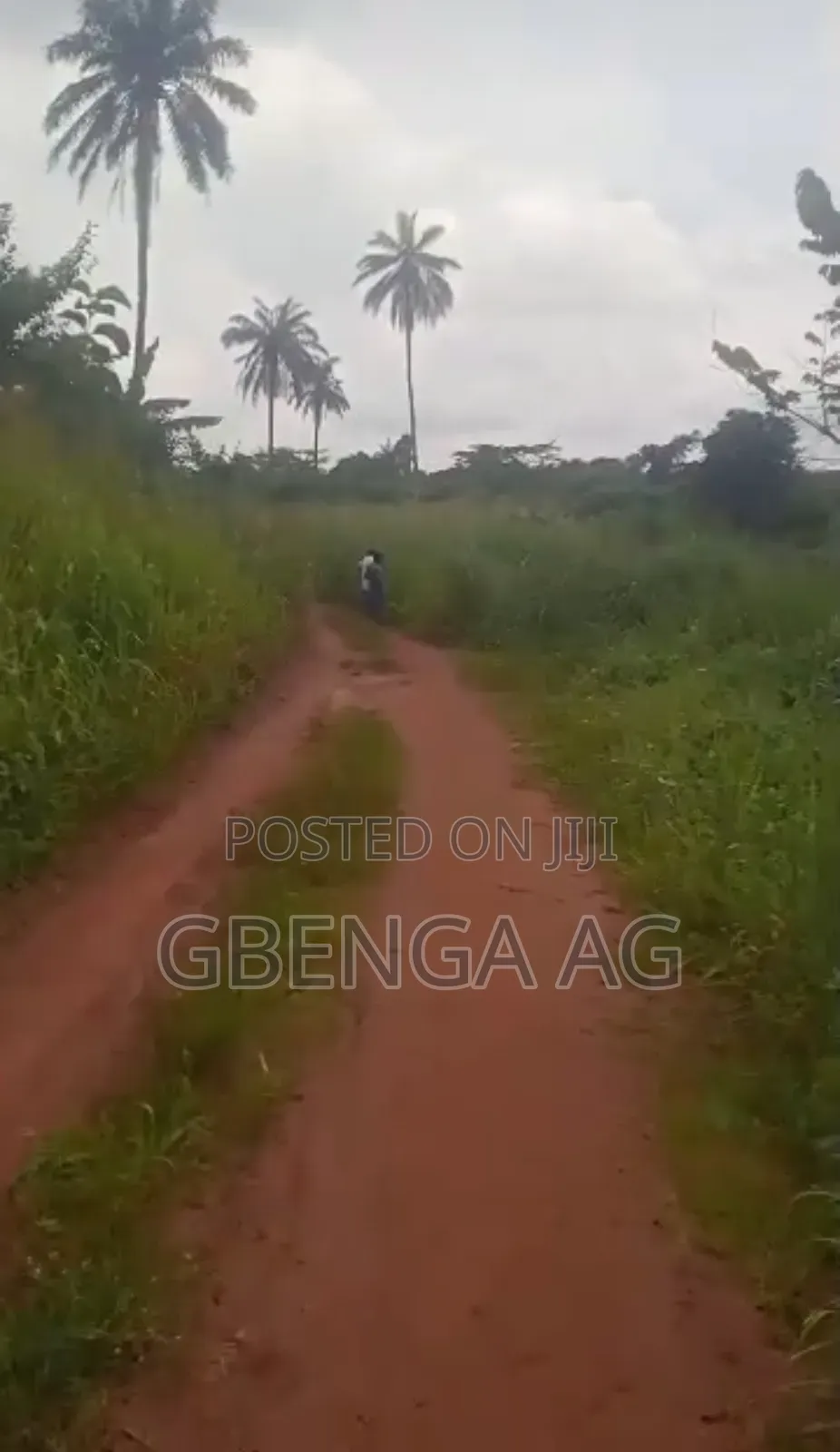12 Acres of Land Behind International Brew Off Sagamu -Abeokuta Exp in Obafemi-Owode