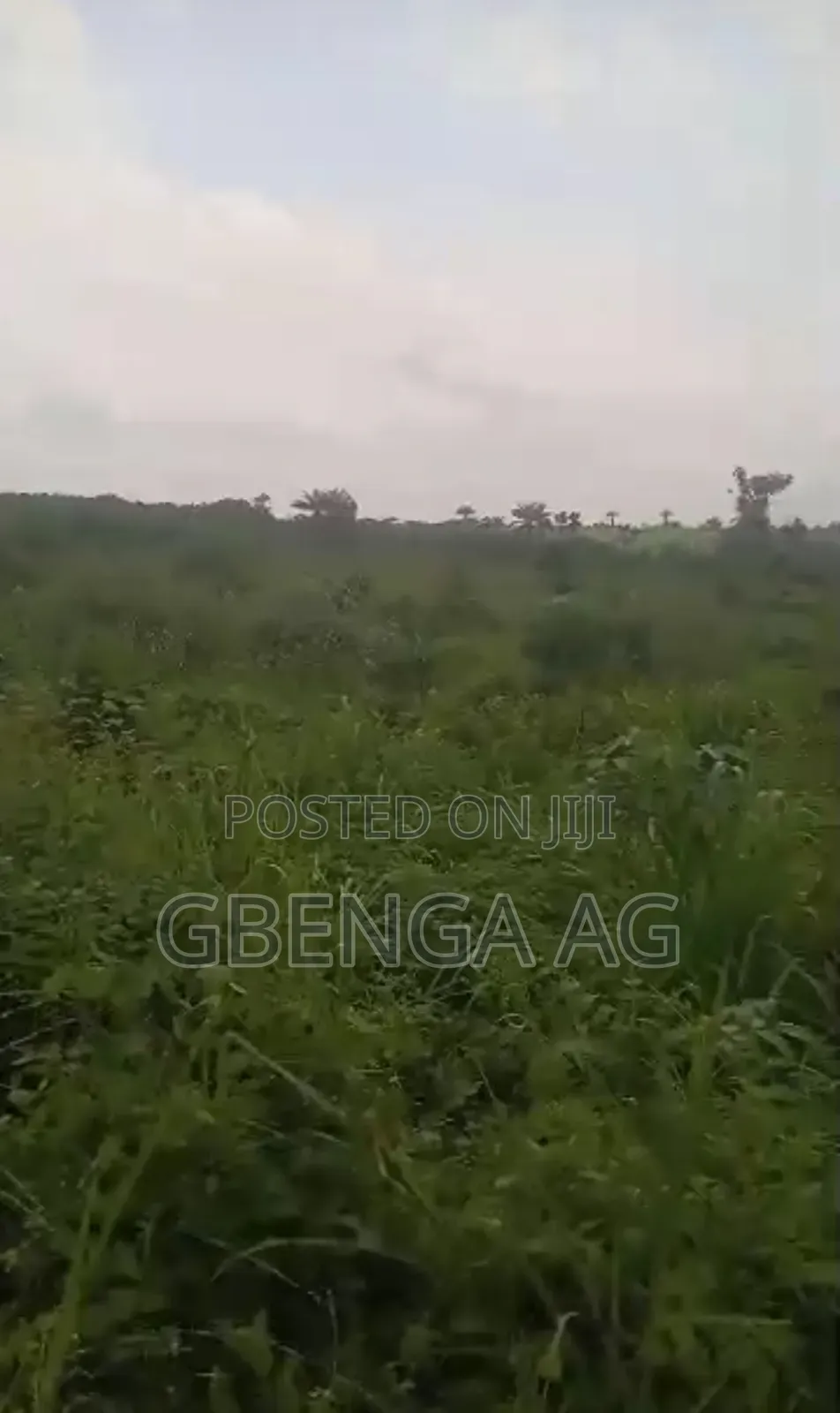 12 Acres of Land Behind International Brew Off Sagamu -Abeokuta Exp in Obafemi-Owode
