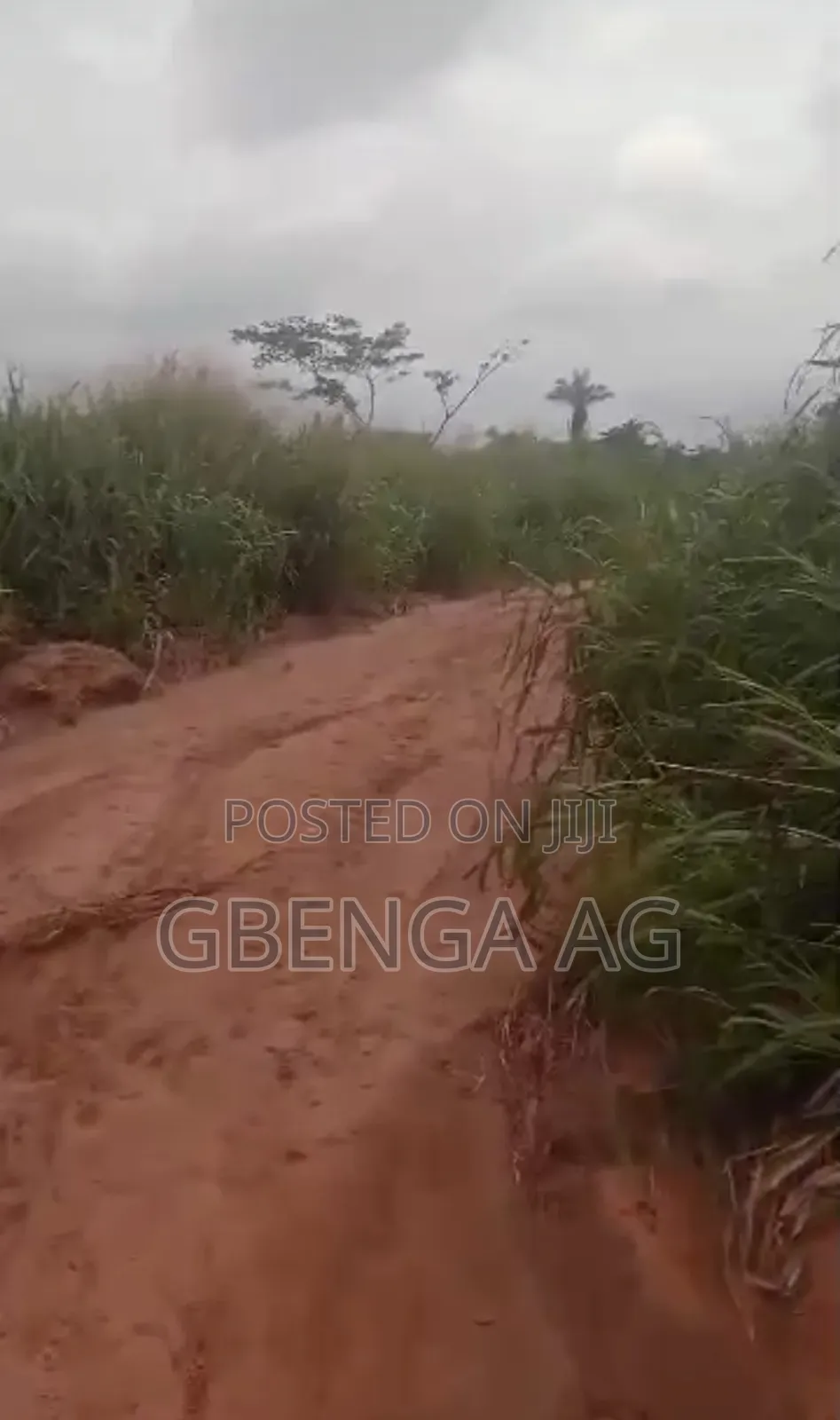 130 Acres Before International Brew Sagamu -Abeokuta Exp in Obafemi-Owode