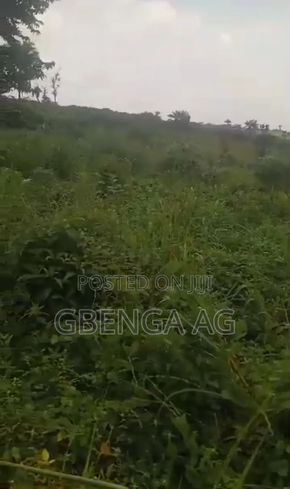 130 Acres Before International Brew Sagamu -Abeokuta Exp in Obafemi-Owode