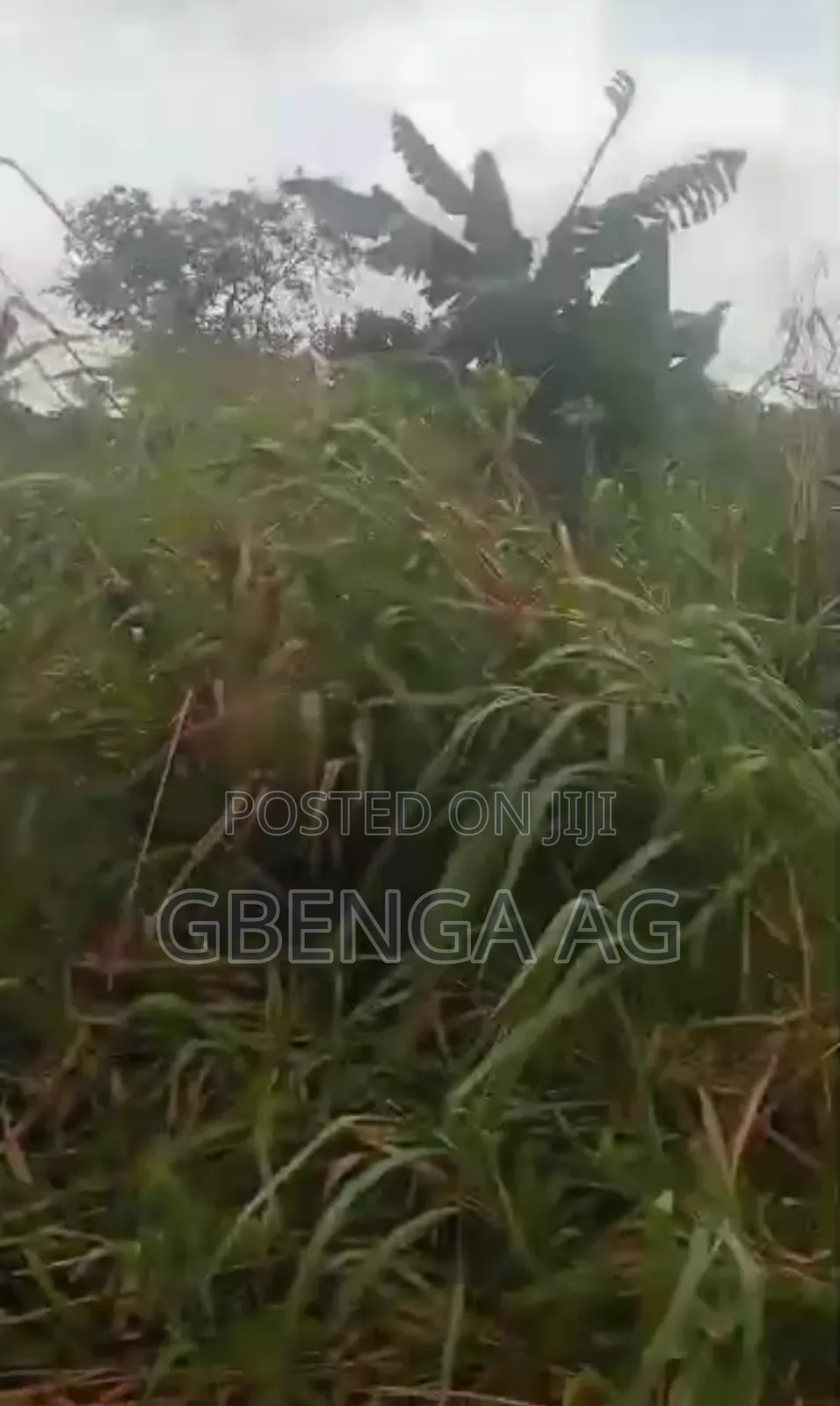 14.9 Acres of Land Near Waterman School After Siun in Obafemi-Owode