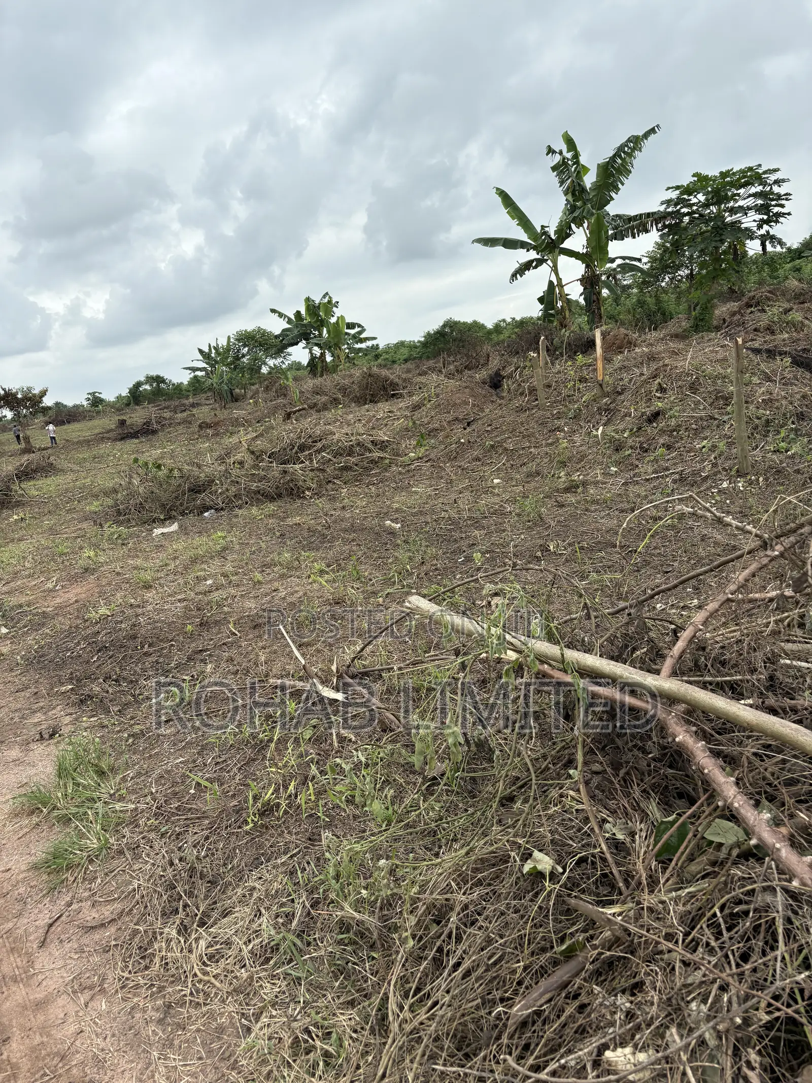 Certificate of Occupancy in Lagelu
