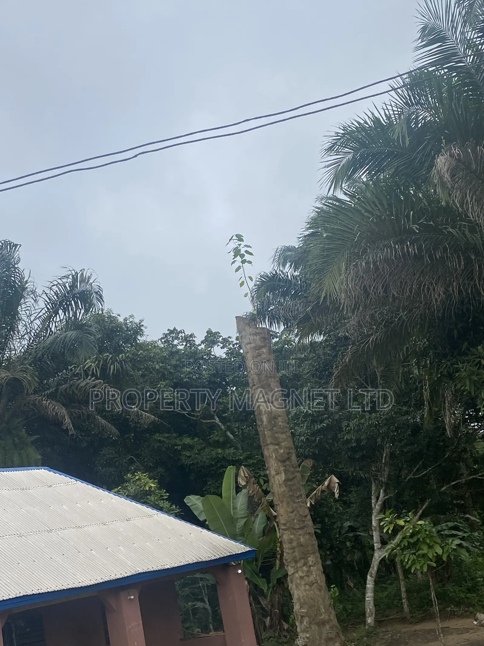 Sweet Deals at Mgbarakuma 1 Plot for Sale in Umuahia