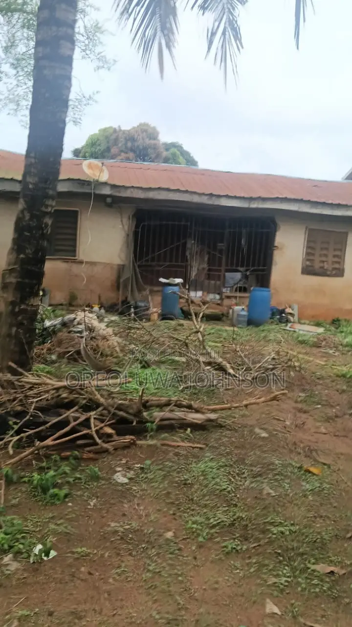 Allocation Papers in Iseri Olofin
