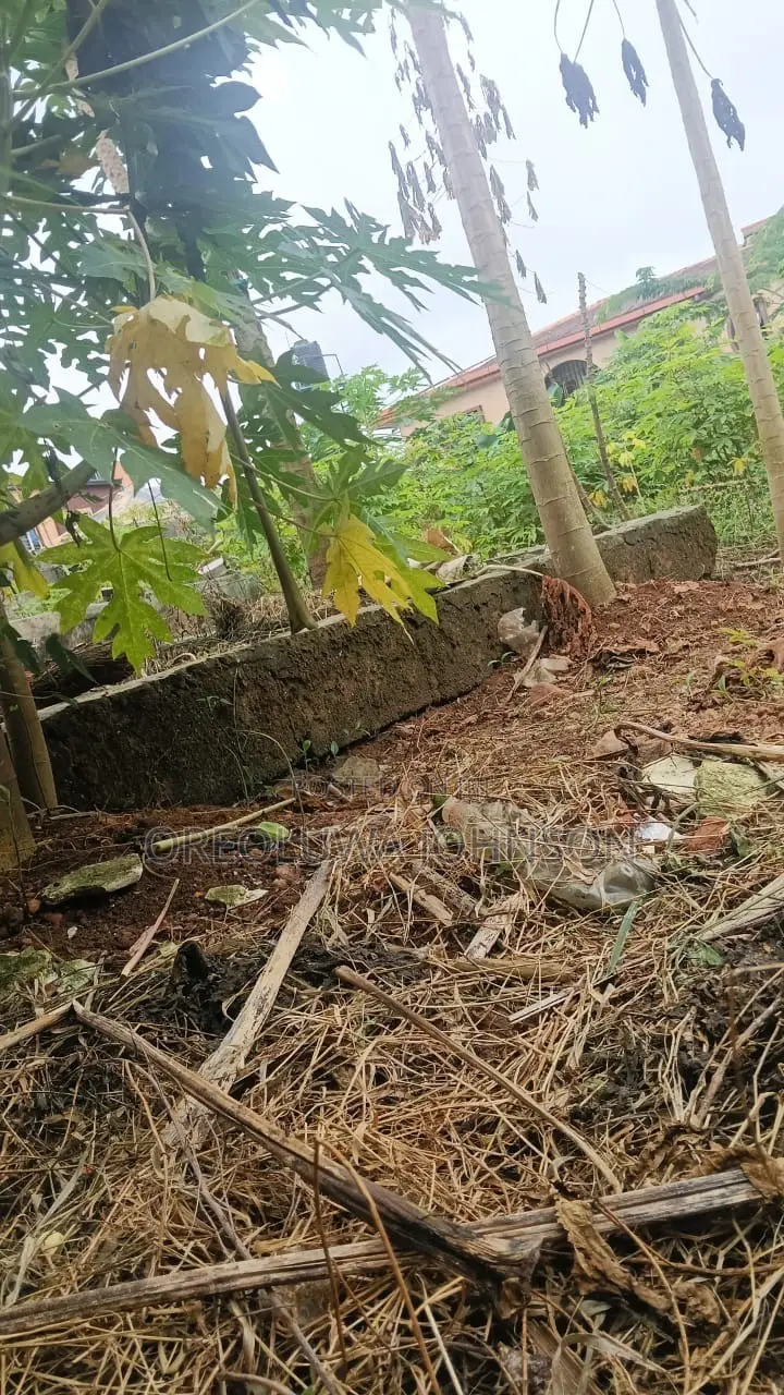 Empty Land for Sale in Iseri Olofin