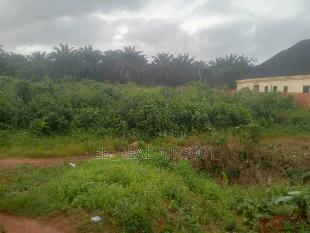 Distress 100x100 Land Sale in Benin City