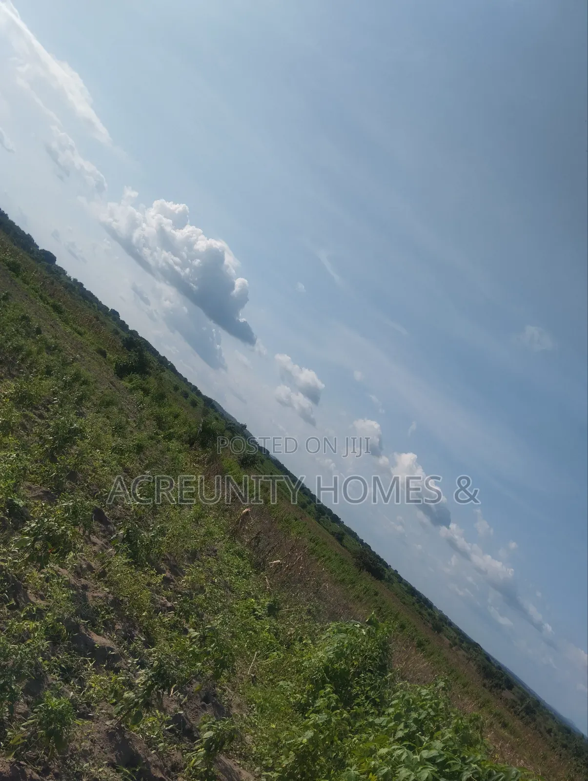 4000 Acres of Fertile Farmland for Sale at Iwere-Ile, Iwajowa LGA in Iwajowa