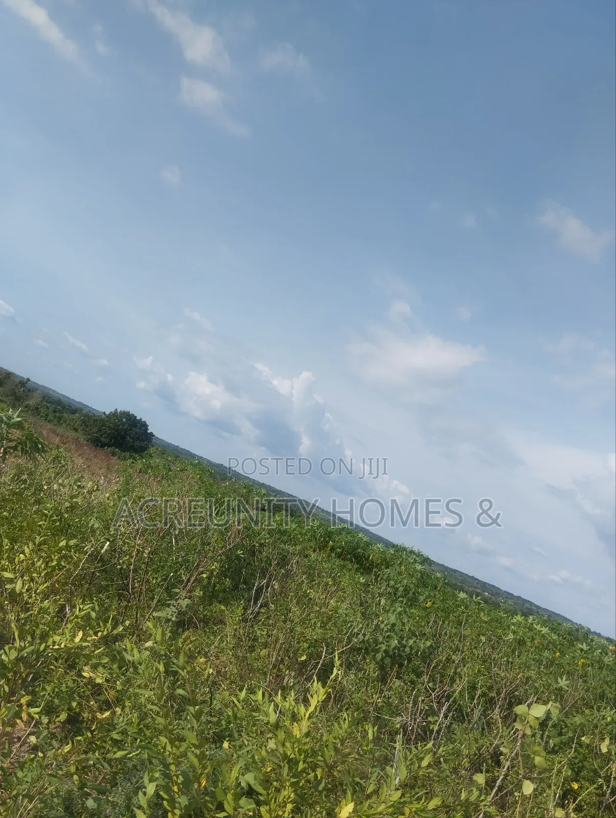 4000 Acres of Fertile Farmland for Sale at Iwere-Ile, Iwajowa LGA in Iwajowa
